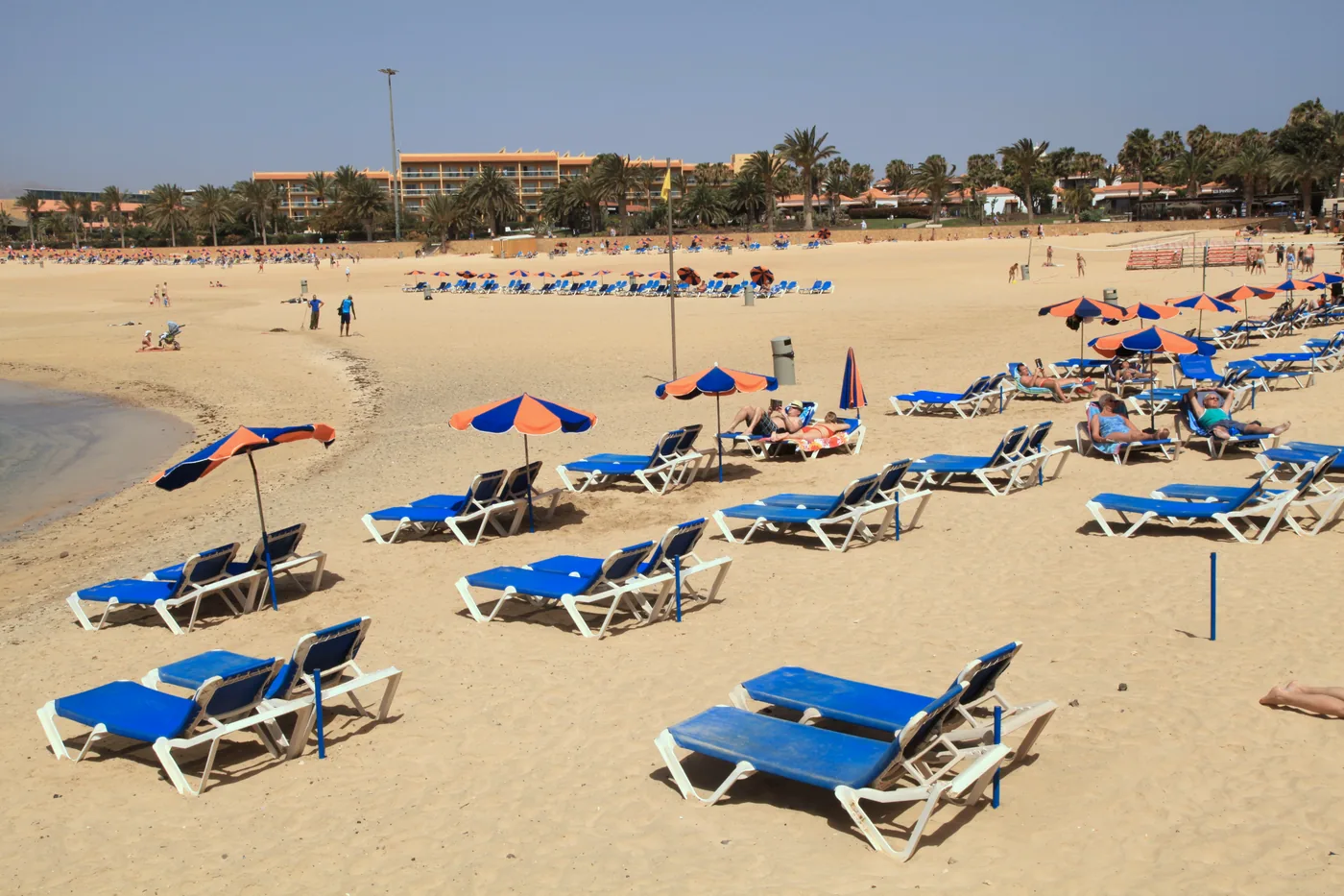 Castillo beach with golden sand, sun loungers and palms at Caleta de Fuste, Fuerteventura.