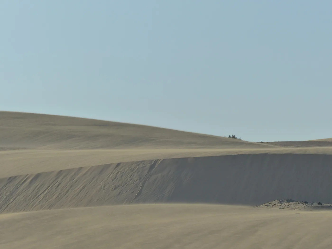The Corralejo dunes under a deep blue sky, with the sea beyond