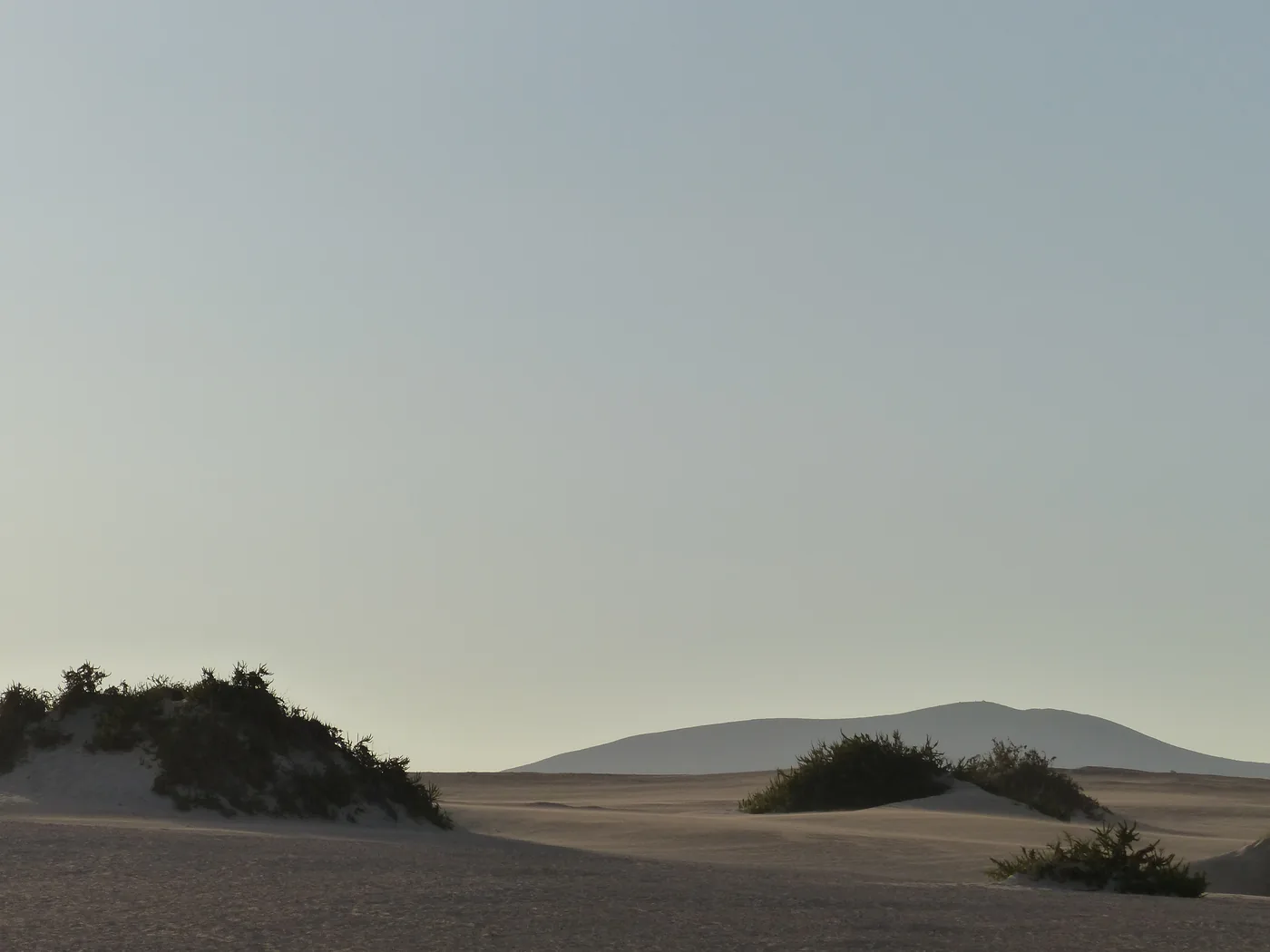 The horizon over the Corralejo dunes, sand ridges running to the sea